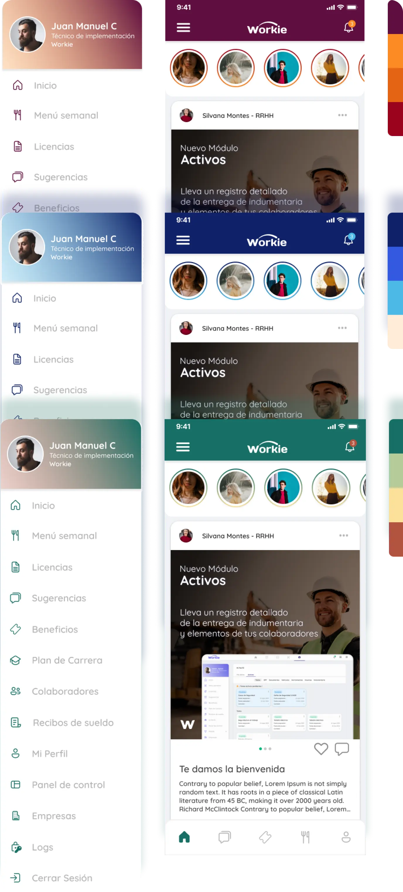 variedad de versiones segun el color de la empresa